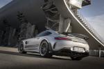 Mercedes-AMG GT R PRO 2019 года (WW)